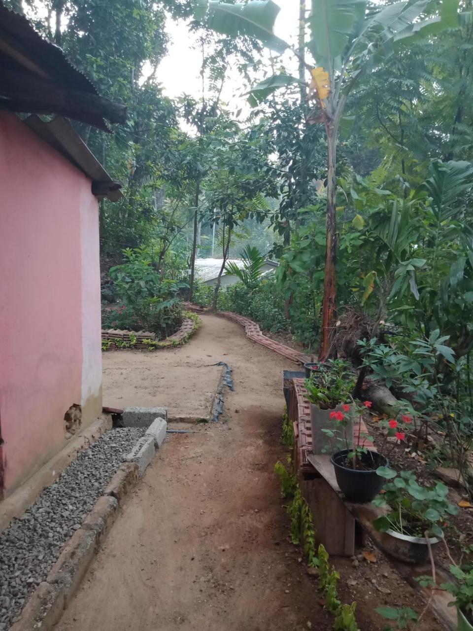 Damsen Homestay Ella Zewnętrze zdjęcie